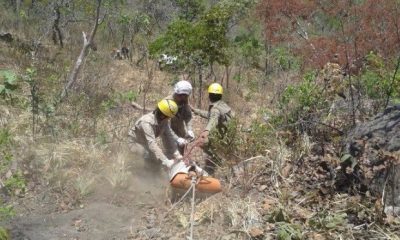 Bombeiros usaram equipamentos especiais para chegar ao local (Foto: Divulgação/Corpo de Bombeiros)